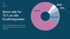 "Diagram som viser at storm utgjør 75 % av alle forsikringssaker relatert til naturskader."