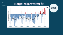 Det ble et rekordvarmt år: I gjennomsnitt for Norge endte temperaturen som det varmeste året siden 1900. Året ble 1,5 grader over dagens klima, som er gjennomsnittet for perioden 1991-2020.
