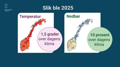 Temperatur og nedbør for 2025, sammenlignet med normalen (1991-2020)