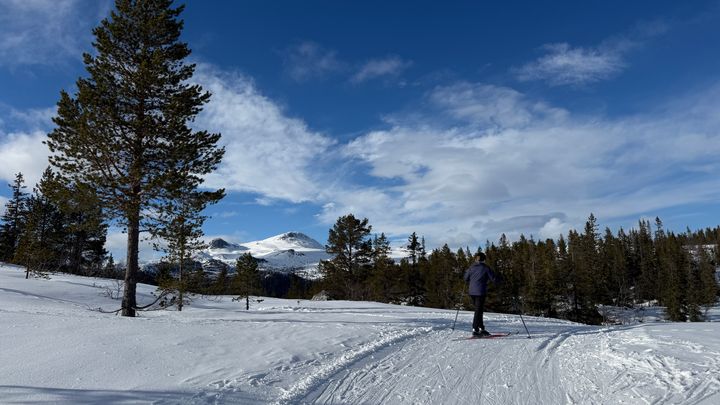 Tuddal i Telemark i slutten av mars 2026. Foto: Anniken Sanna/MET