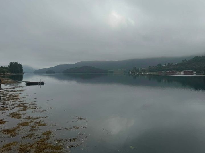 16 grader og tykk havskodde ved Indre Hoem, Hustadvika, Møre og Romsdal 16. juli. Foto: Grete Glomnes Borge-Olsen