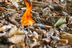 Uforsiktighet med ild kan få store konsekvenser. Foto: Immo Wegmann/Unsplash