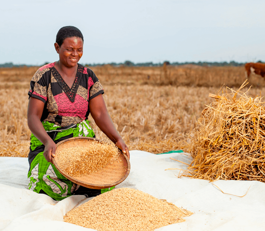 Illustrasjonsfoto: Kvinne sitter på et pledd på en åker og sikter korn.