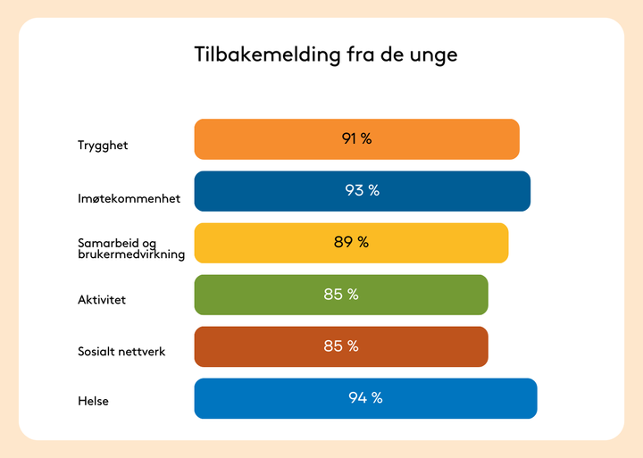 Graf%20som%20viser%20de%20unges%20vurderinger%20av%20sin%20barnevernsinstitusjon