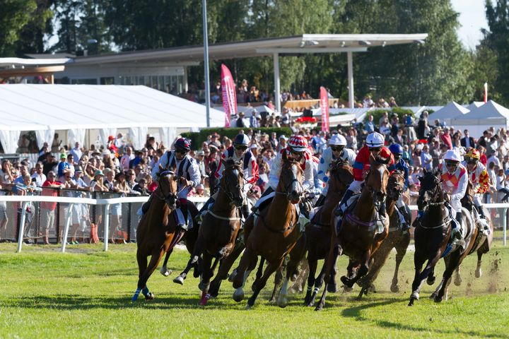 galopphester i full galopp i en sving