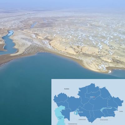 Description of the image