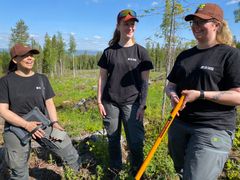 Fin jobb. Fra venstre Connie Johansen SB Skog, Evenstad-studentene Christina Anouk Holtslag og Marita Myrene.