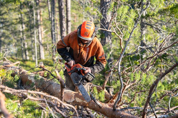 Skogsektoren i Norge har endelig fått dokumentasjon på klimaeffekten den bidrar med