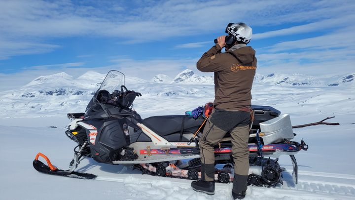 Stillingene i Statskog Fjelltjenesten er veldig ettertraktede og tiltrekker seg alltid et stort antall søkere.