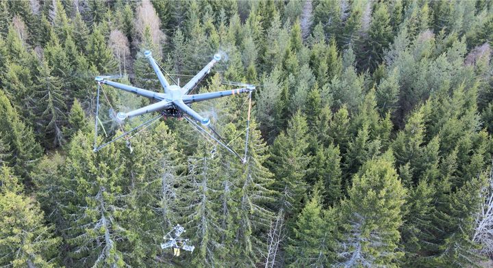 Drone over skog