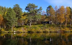 Sjølyst - idyllisk hytte ved sjøen Setningen nær Rondane i Stor-Elvdal