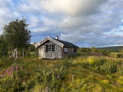 Tiplingen skogstue - hytte ved vatnet Vestre Tiplingen i Hattfjelldal