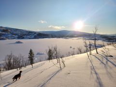 Fridalen - Sætervatnet