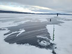 Røros og Femundsmarka: Femunden mot Røa - 25 cm is