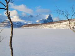 Fridalen - Sætervatnet: Sætervatnet og Korsviktind