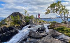 Hengebro over elv i Rago nasjonalpark