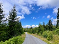 Sykkelrute langs grusveier i flott natur