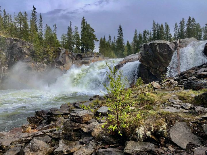 Illustrasjonsbilde hentet fra statsallmenning