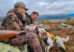 Jegere med hund på rypejakt