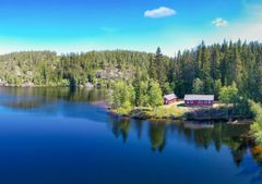 Nykjua ved vannet Vesle Nykjua i Finnemarka