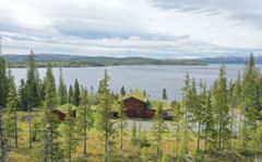 Torpberget i Meråker har blitt veldig attraktiv