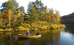 Sjøylyst ved sjøen Setningen i Stor-Elvdal