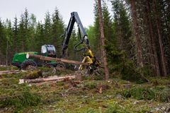 Oppdraget inkluderer over én million kubikkmeter hogst