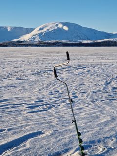 Majaklumpen fra Majavatnet