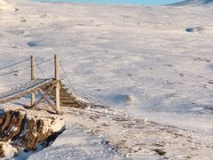 Ryper ved hengebru ved Midtistua i Saltfjellet-Svartisen nasjonalpark