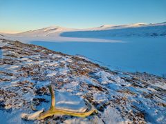 Søndre Bjøllåvatnet  i Saltfjellet-Svartisen nasjonalpark, Rana