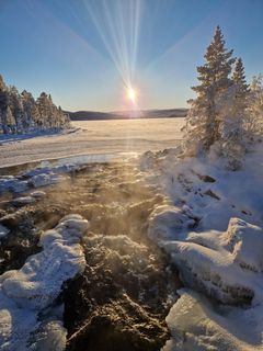 Frostrøyk og lav sol ved Store svenningvatn i Grane