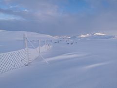 Vinterlig samlingsgjerde på Čievččasjávri i Målselv