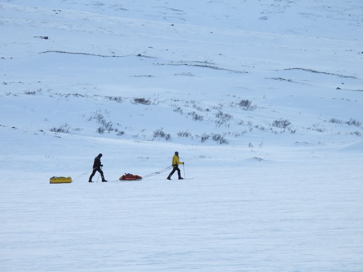 De første skituistene er alerede på tur i fjellet, Conujavre i Narvikfjellet