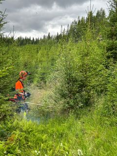 Ungdom på JOB:U sommerjobb i Bangdalen i Namsos juli 2024