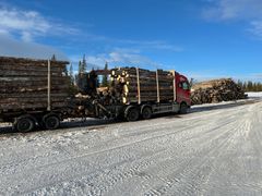 Trailer med tømmerlast