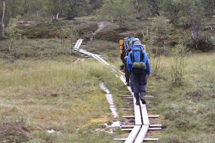 Personer med ryggsekk går på klopper over myr