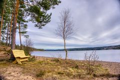 Turbenk ved sjøen
