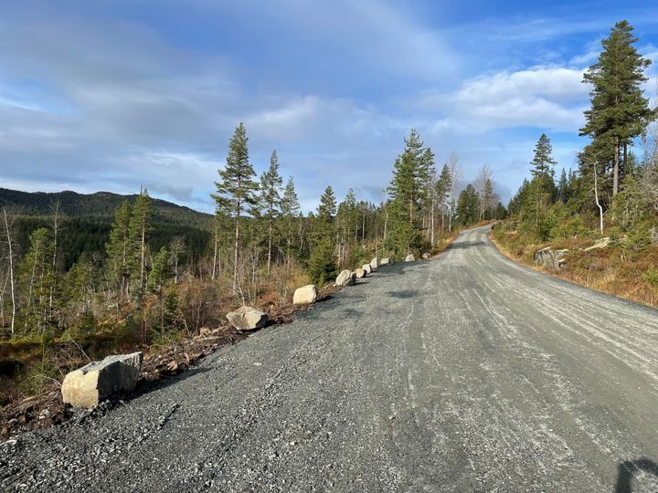 Grusvei inn i landskap