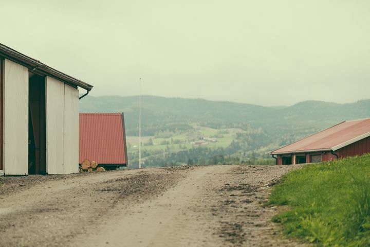 MANGE SIKTER MOT NEDLEGGELSE: Avviklingen av norske gårdsbruk vil trolig fortsette også de neste årene, viser en ny undersøkelse blant bøndene (foto: Bård Gundersen)
