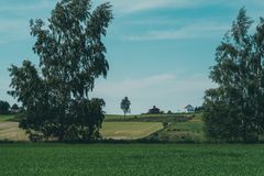 Over 500 nominerte så langt til Landbrukets bærekraftspris