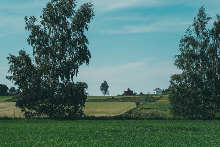 Over 500 nominerte så langt til Landbrukets bærekraftspris