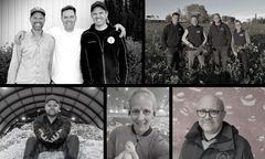 F.v øverst: Brødrene Freberg, familien Huseby, Sindre Storegraven, Inger Synøve Johnsen og Simen Myhrene
