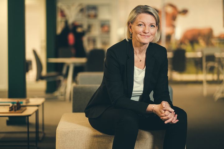 Administrerende direktør i Landkreditt Forsikring