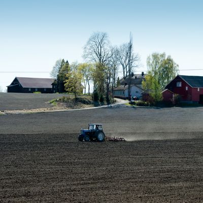 Description of the image