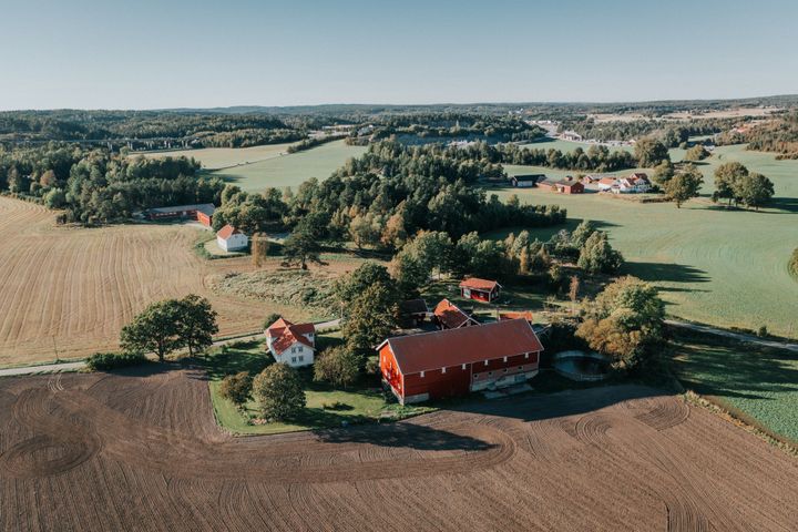 Nå starter jakten på årets vinner av Landbrukets bærekraftpris
