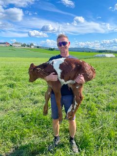 Lars Erik Susegg driver med melk, kjøtt, såkorn og skog på Susegg Vestre i Steinkjer.