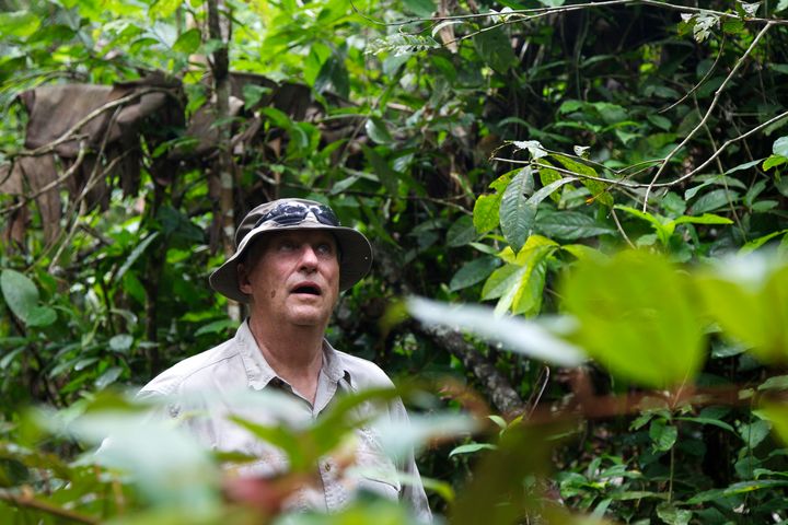 Kong Harald i regnskogen i Brasil.