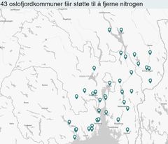 Kart over 43 kommunar i Oslofjordens nedbørsfelt får støtte til å fjerne nitrogen frå avløpsreinseanlegg.