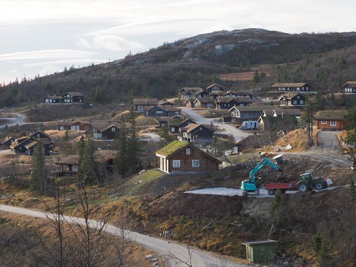 Bilde av hytter i et nedbygd skogområde.