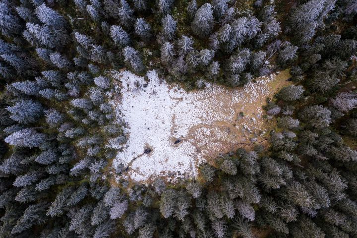 Myr lagrer store mengder karbon i torva, den renser og filtrerer vann, demper flom og er levested for mange typer planter, insekter, dyr og fugler. En av de fem strategiene Naturpanelet peker på handler om å bevare gjenværende naturmangfold og restaurere steder av verdi for mennesker og natur.